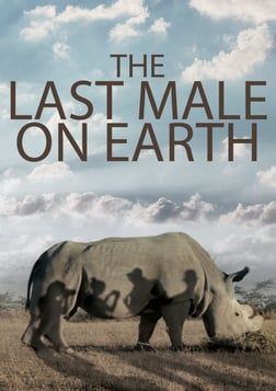 The Last Male On Earth