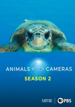 Animals with Cameras - Season 2