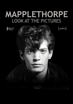Mapplethorpe: Look at the Pictures - The Provocative Artist Who Changed Contemporary Photography
