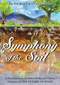Symphony of the Soil - An Artistic Examination of Our Relationship With Soil