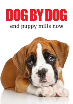 Dog By Dog - Confronting the Unjust Realities of Puppy Mills