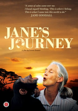 Jane's Journey