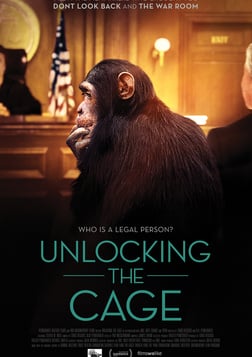 Unlocking the Cage - Expanding Legal Rights to Animals