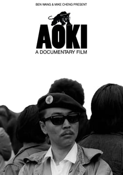 Aoki - An Asian American Black Panther