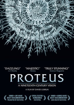 Proteus - An Animated Documentary About Biologist and Artist Ernst Haeckel