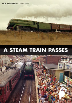 A Steam Train Passes
