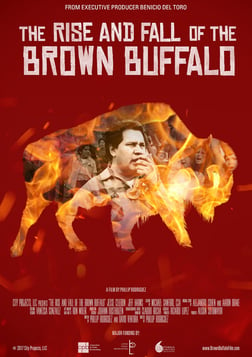 The Rise and Fall of the Brown Buffalo - Oscar Zeta Acosta: From Latino Activist to Dr. Gonzo