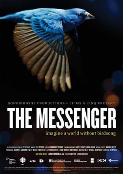 The Messenger - An Ode to the Imperiled Songbird