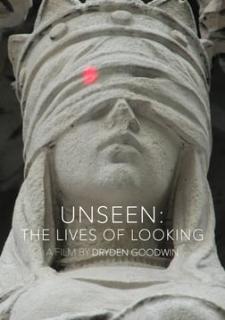 Unseen: The Lives of Looking - Visually Perceiving the World Around Us