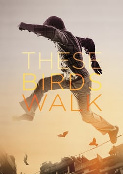 These Birds Walk - An Orphan Finds His Way Back Home