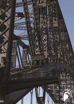 The Bridge (Constructing Australia Series)