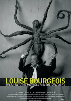 Louise Bourgeois: The Spider, The Mistress and the Tangerine - A Modern Artist and Feminist Icon