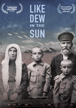 Like Dew in the Sun - Ukraine's Civil War