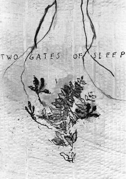 Two Gates of Sleep
