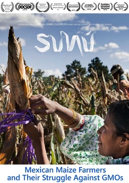 Sunú - Mexican Maize Farmers