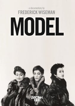 Model - An Inside Look of the Modeling Profession