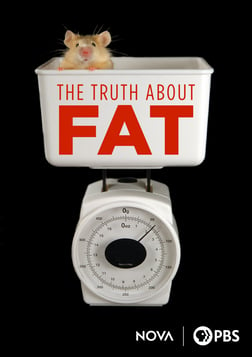 The Truth About Fat