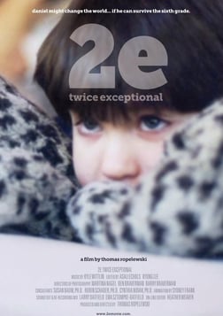 2e: Twice Exceptional - Gifted Children With Learning Disabilities