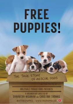 Free Puppies!