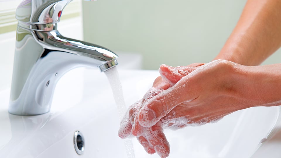 Which Germs in Your Daily Life Matter?