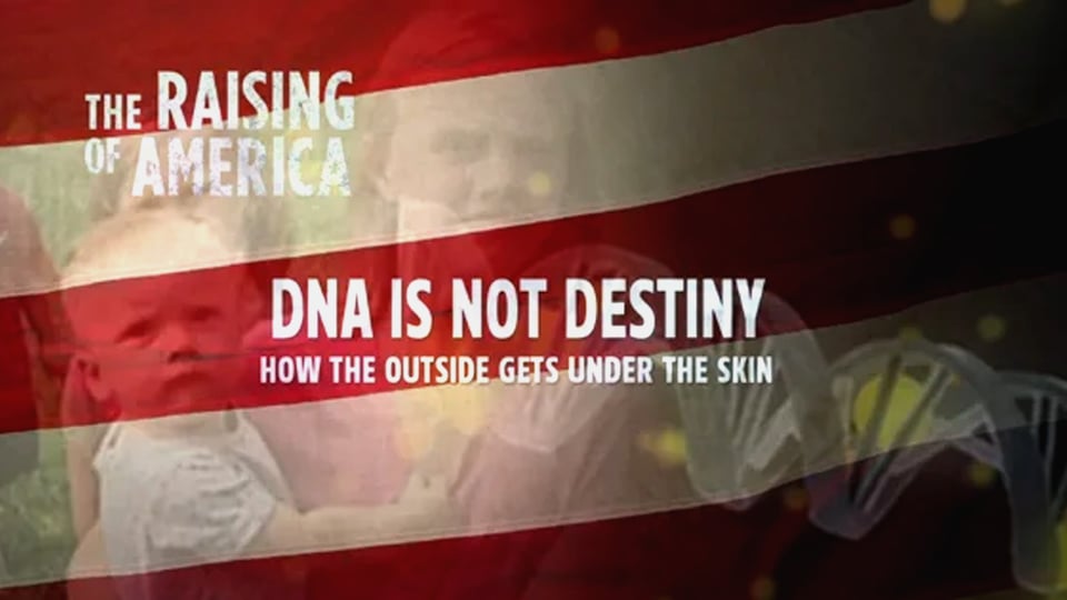 DNA is Not Destiny - How the Outside Gets Under the Skin