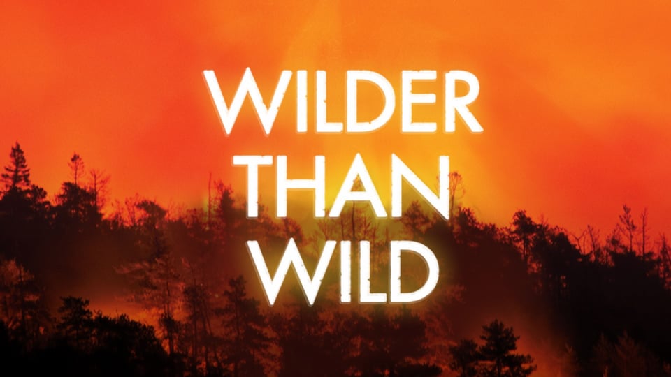 Wilder Than Wild: Fire, Forests, and the Future