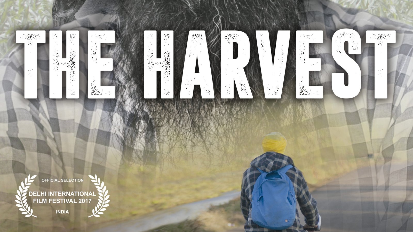 The Harvest - The Plight of Field Workers in Italy
