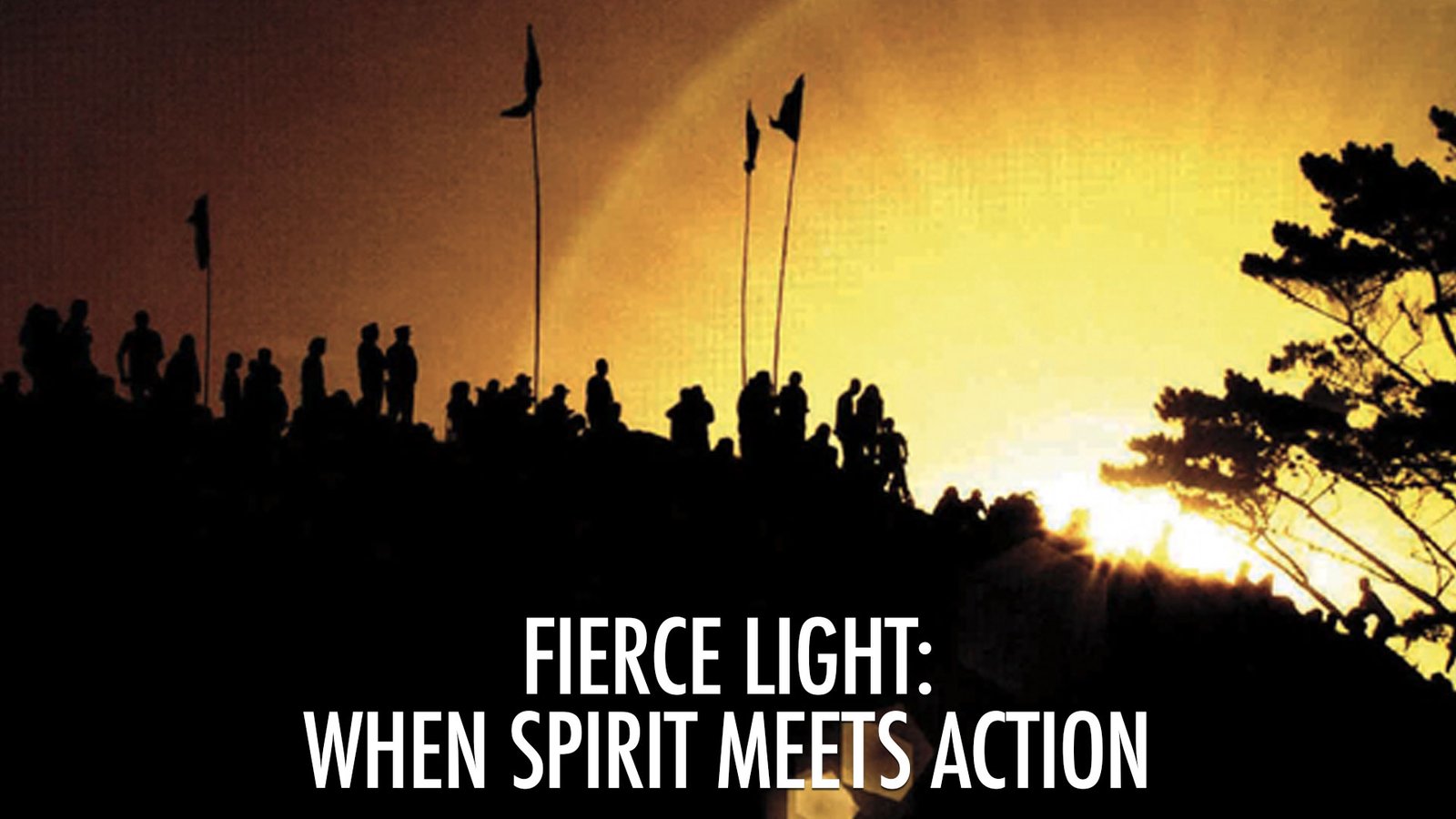 Fierce Light: When Spirit Meets Action - Spiritual Activism