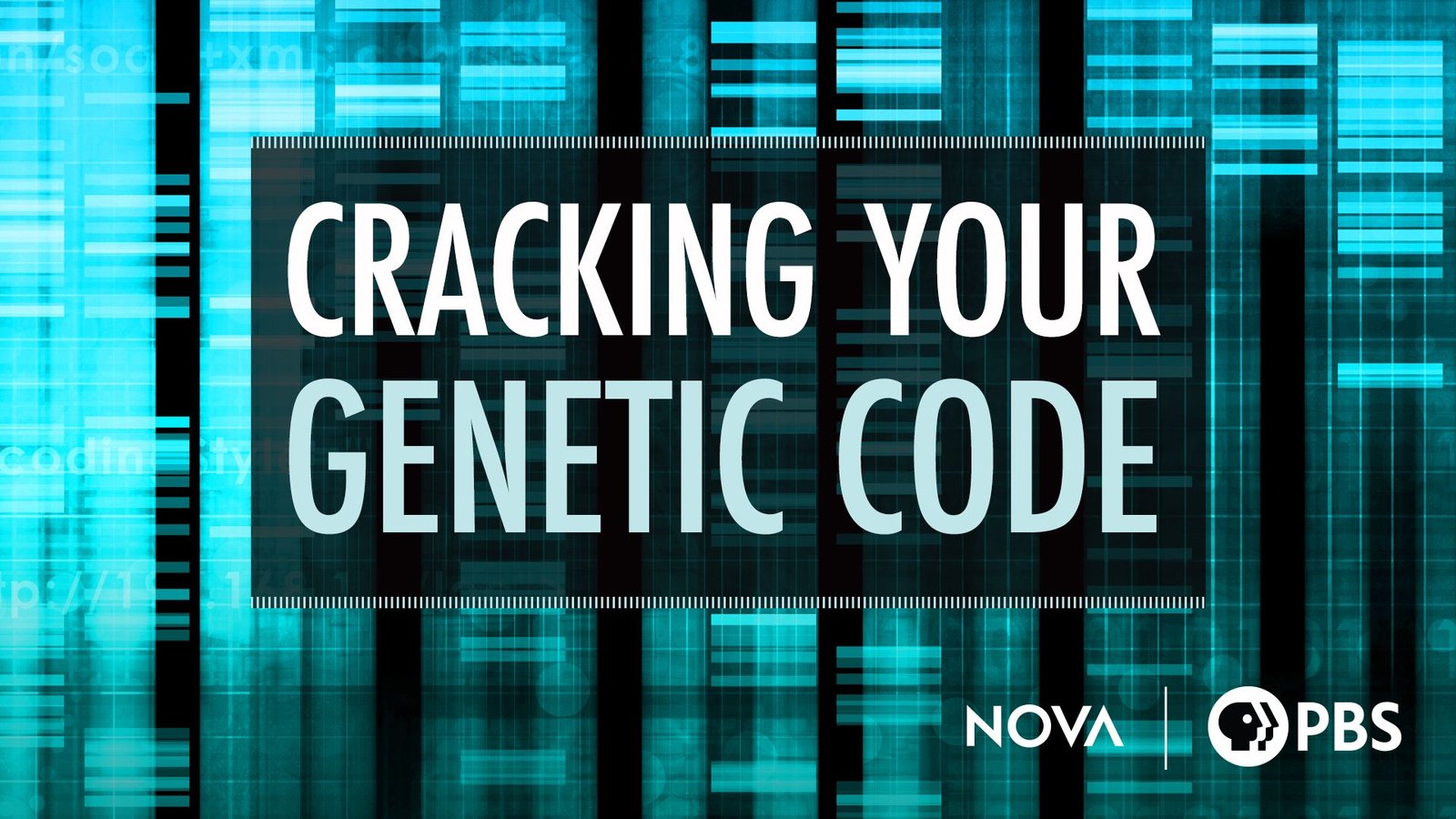 Cracking Your Genetic Code