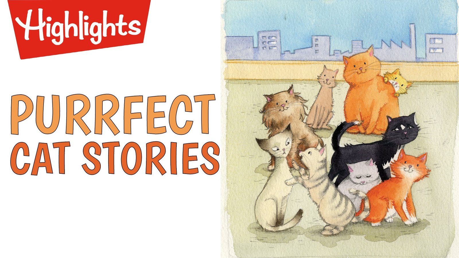 Purrfect Cat Stories
