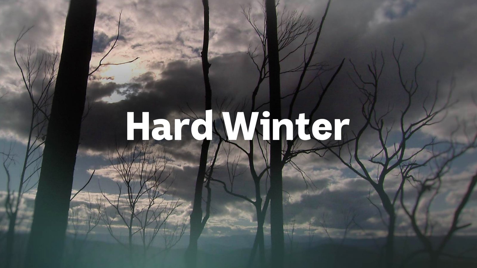Hard Winter