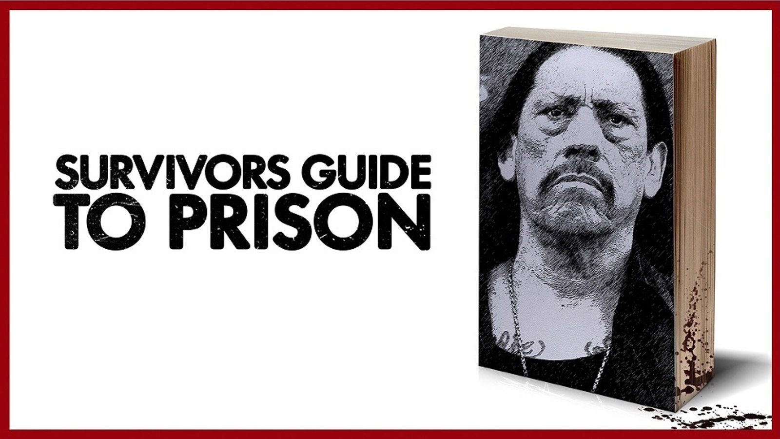 The Survivor's Guide to Prison - Exploring the Current State of the US Prison System