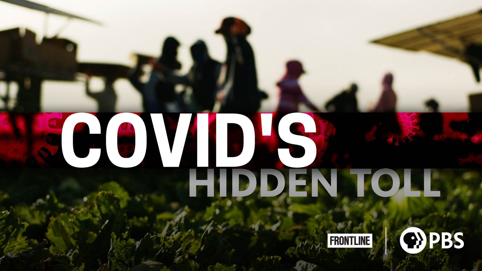 COVID's Hidden Toll