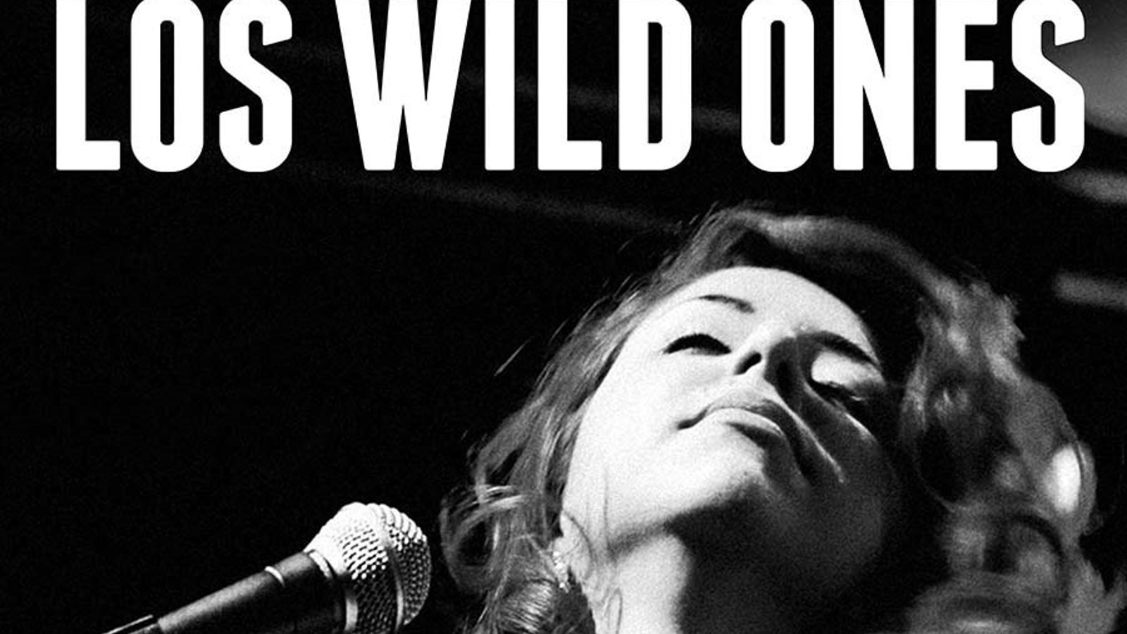 Los Wild Ones - The Musicians of Wild Records