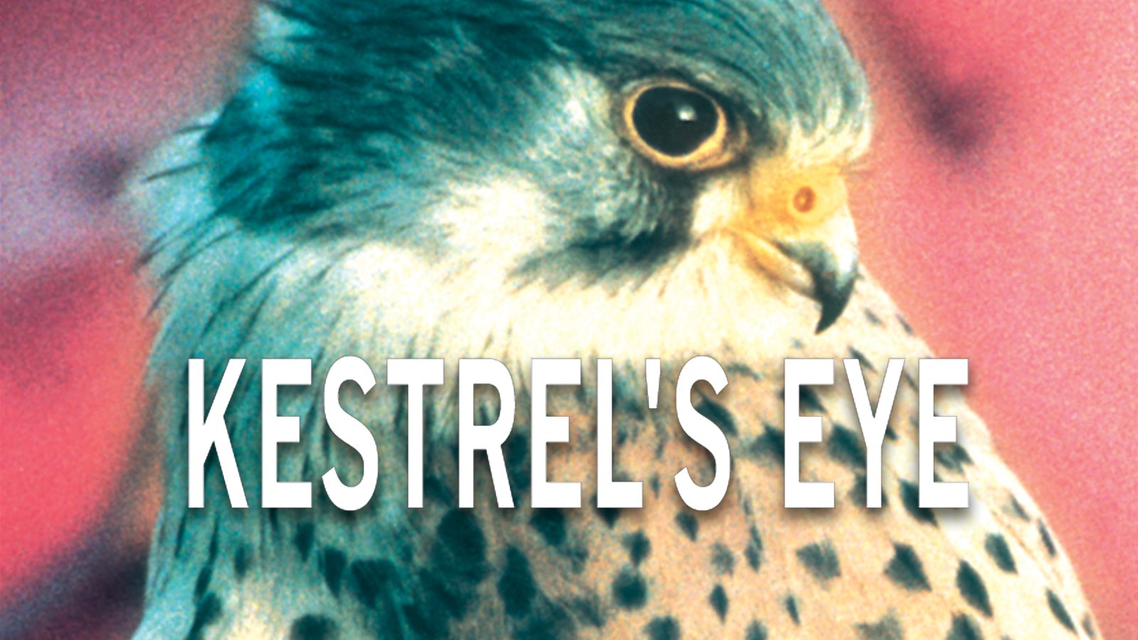 Kestrel's Eye - Life from a Bird's Perspective