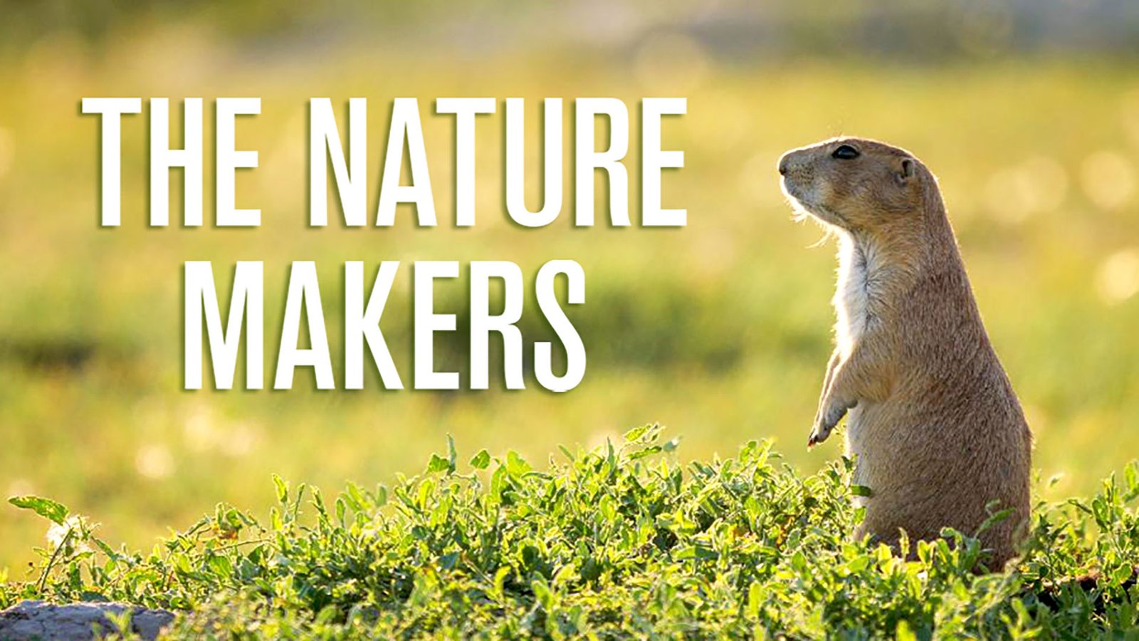 The Nature Makers