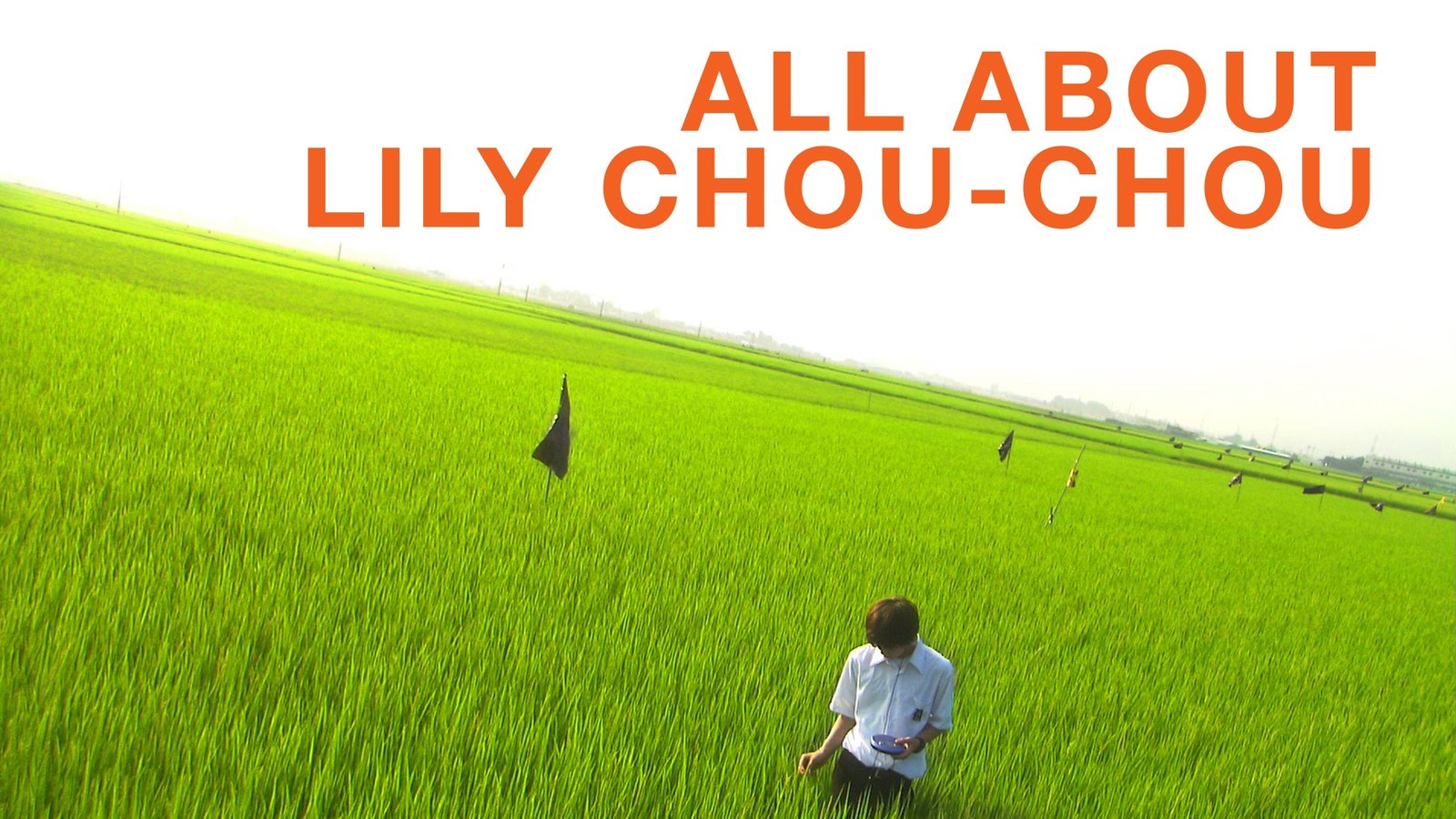 all about lily chou chou trip