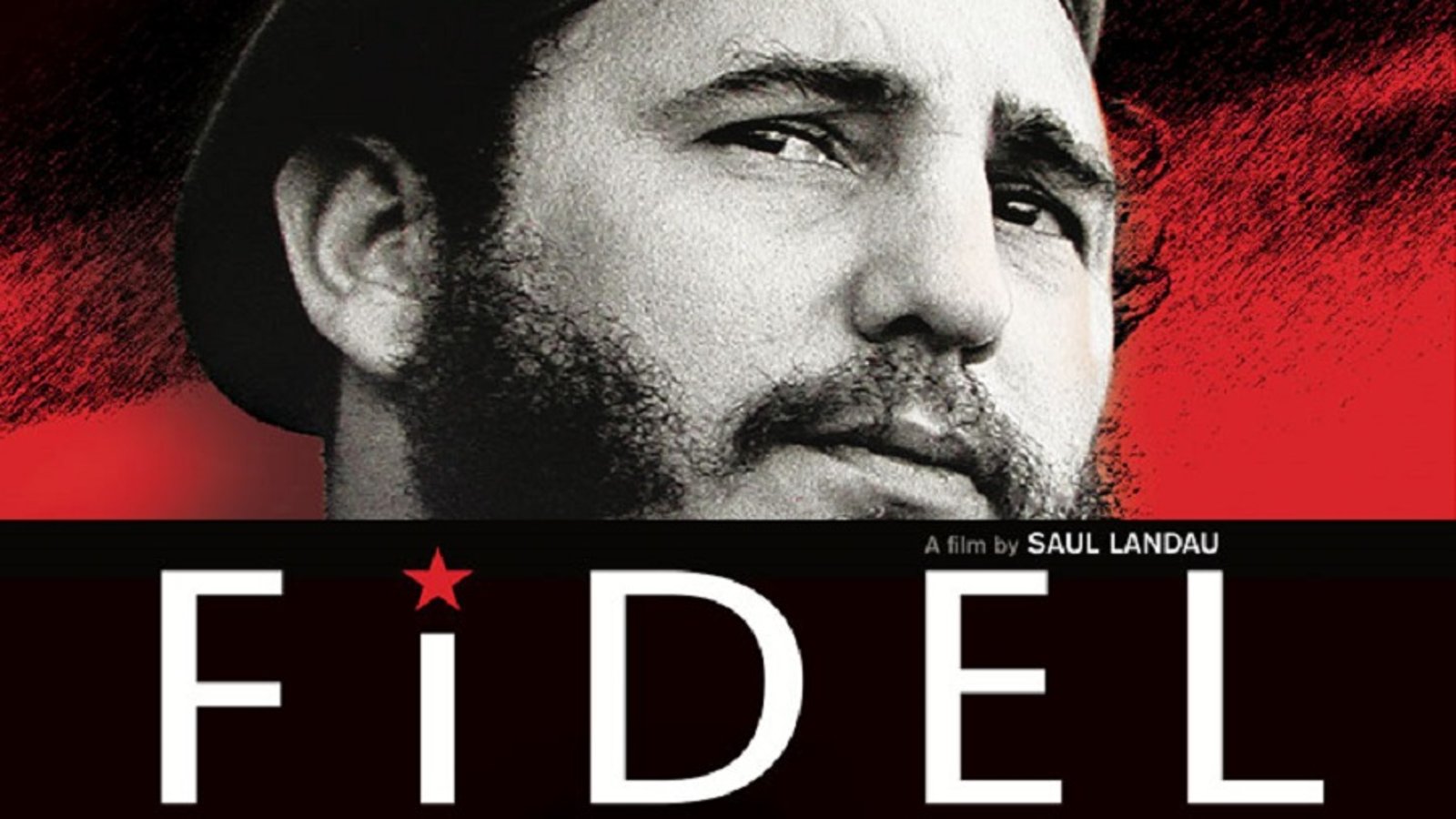 Fidel - The Life and Leadership of Fidel Castro