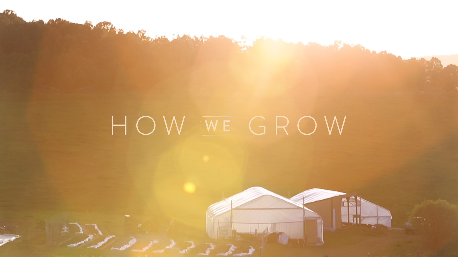 How We Grow - Communities Rebuilding Themselves Around Agriculture