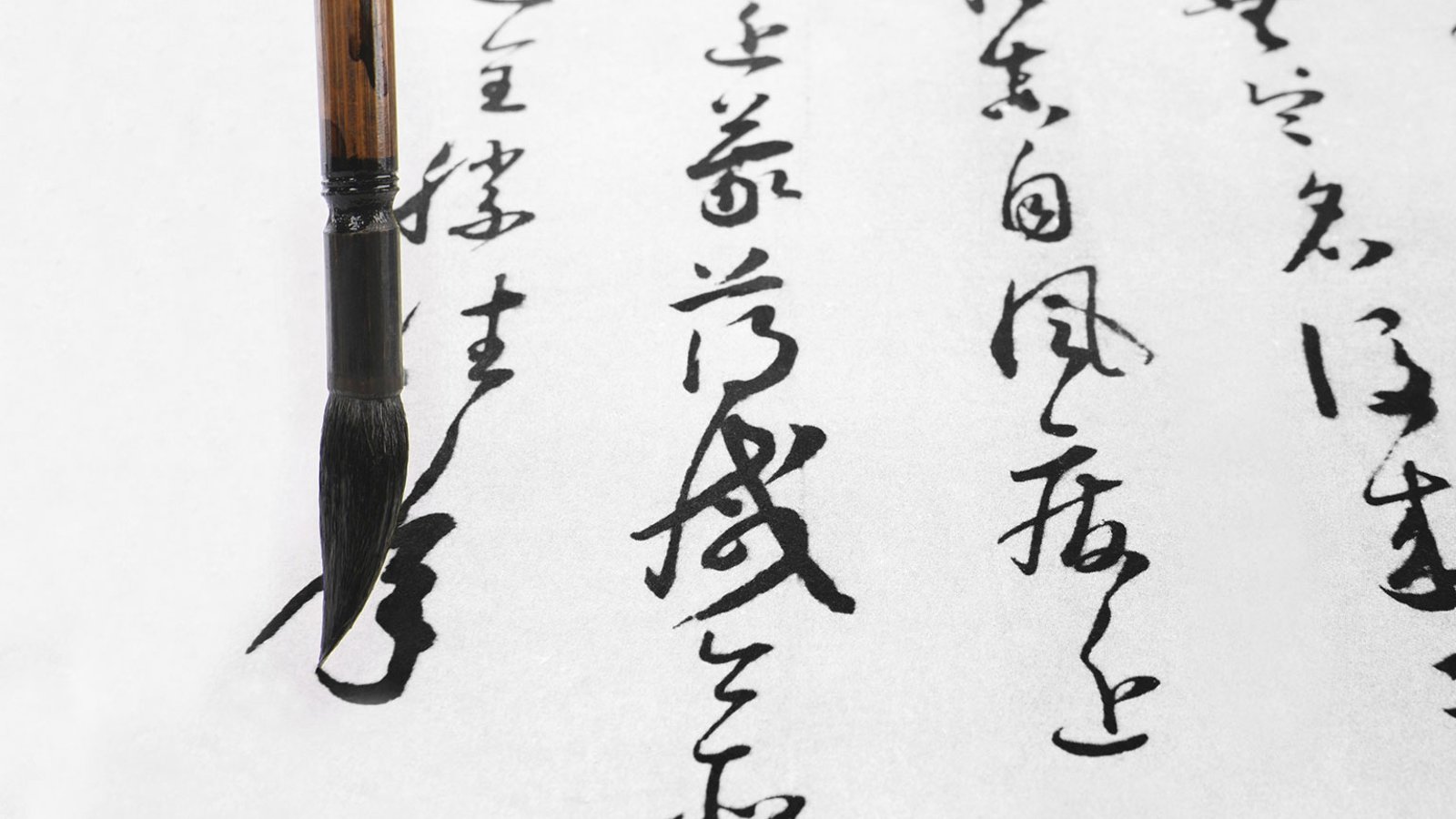 Chinese—A Logosyllabic Script