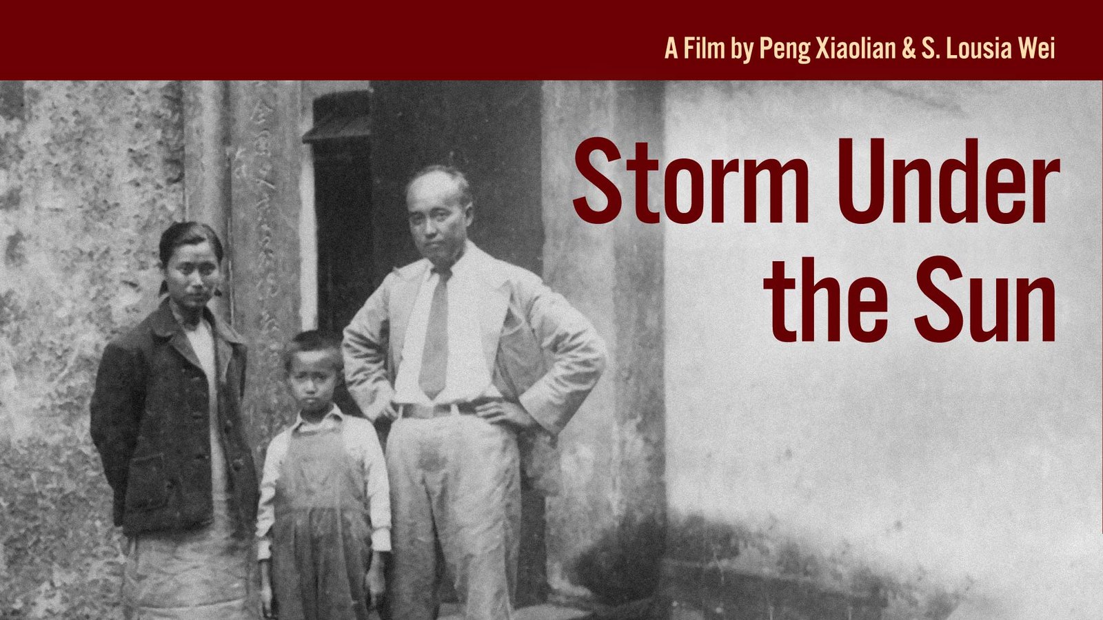 Storm Under the Sun - The Persecution of a Writer Fighting for Artistic Freedom