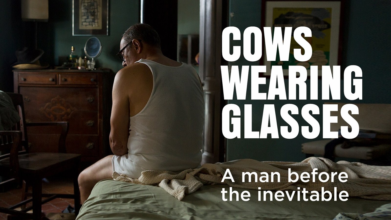 Cows Wearing Glasses - Las Vacas Con Gafas