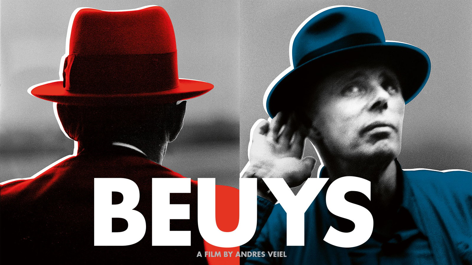 Beuys - The Life and Work of a Innovative Artist Joseph Beuys