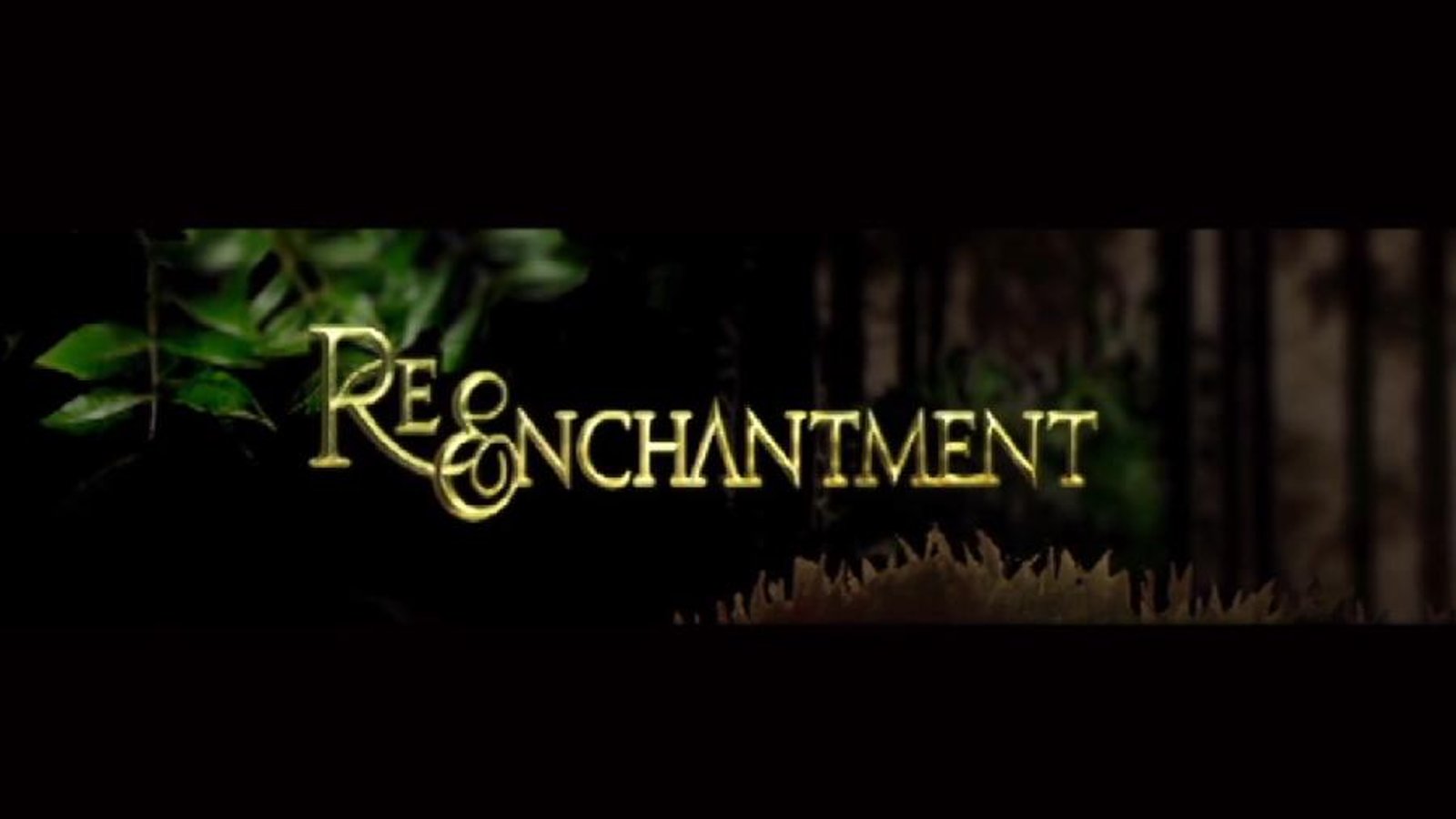 Re-enchantment - The Hidden Meanings of Fairy Tales