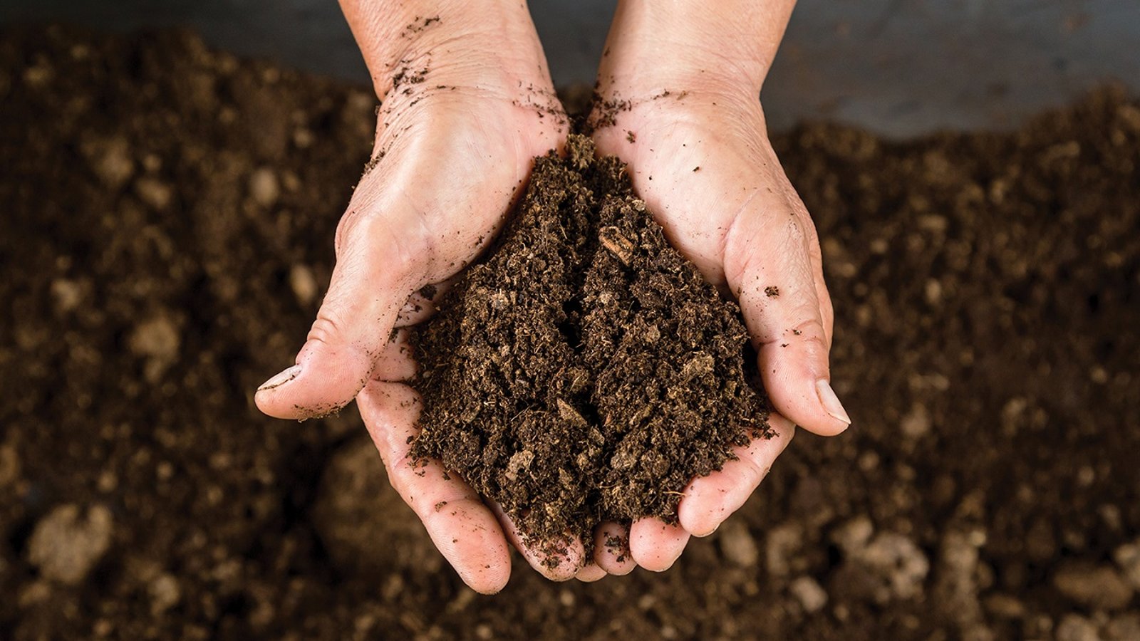 Soil Preparation and Protection