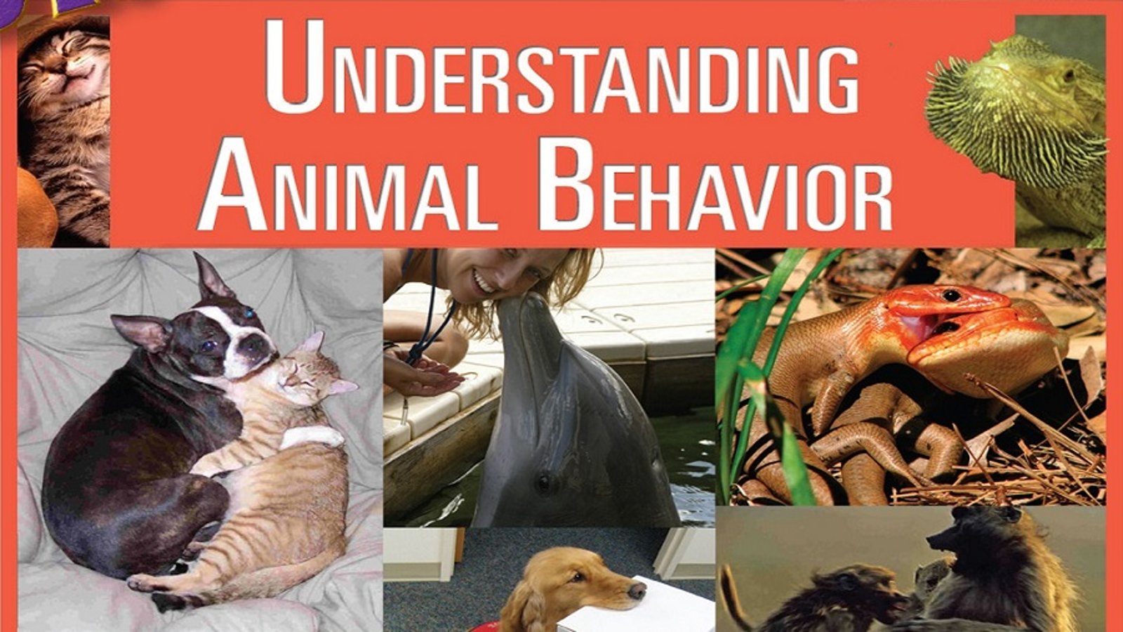 Biology - Understanding Animal Behavior