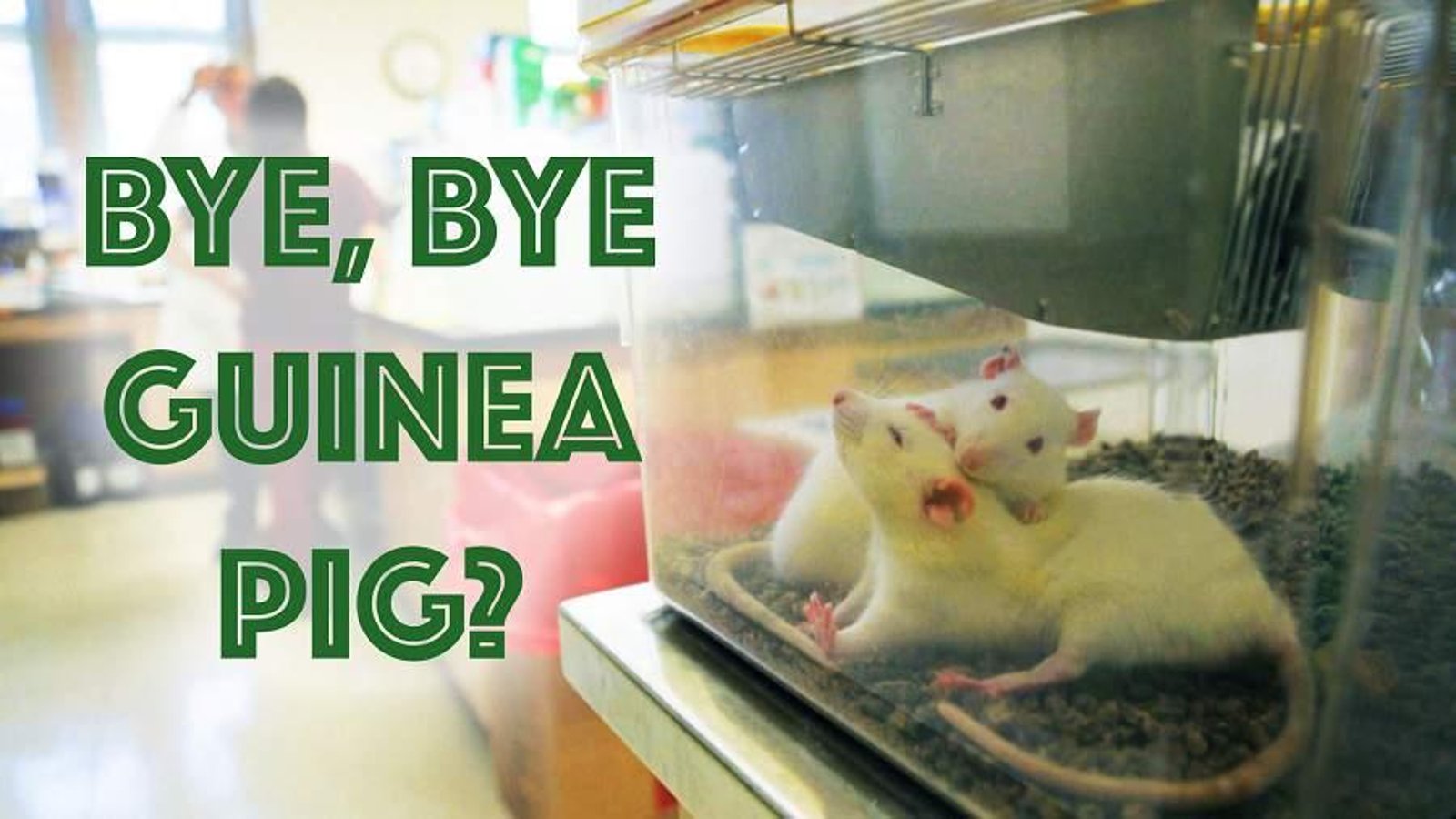 Bye Bye Guinea Pig - Alternatives to Animal Testing