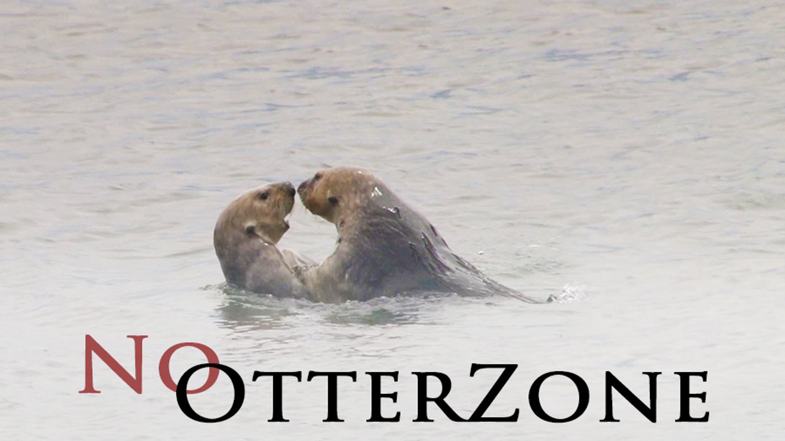 No Otter Zone