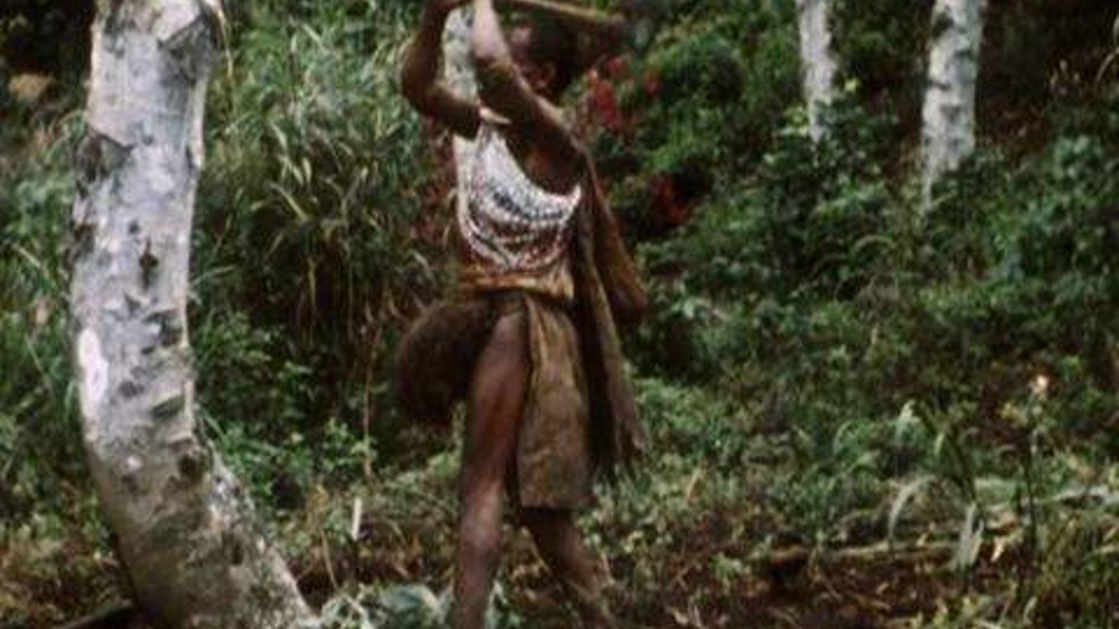 To Find the Baruya Story - An Anthropologist at Work with a New Guinea Tribe