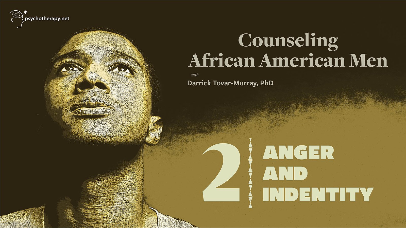 Counseling African American Men, Volume 2: Anger and Identity